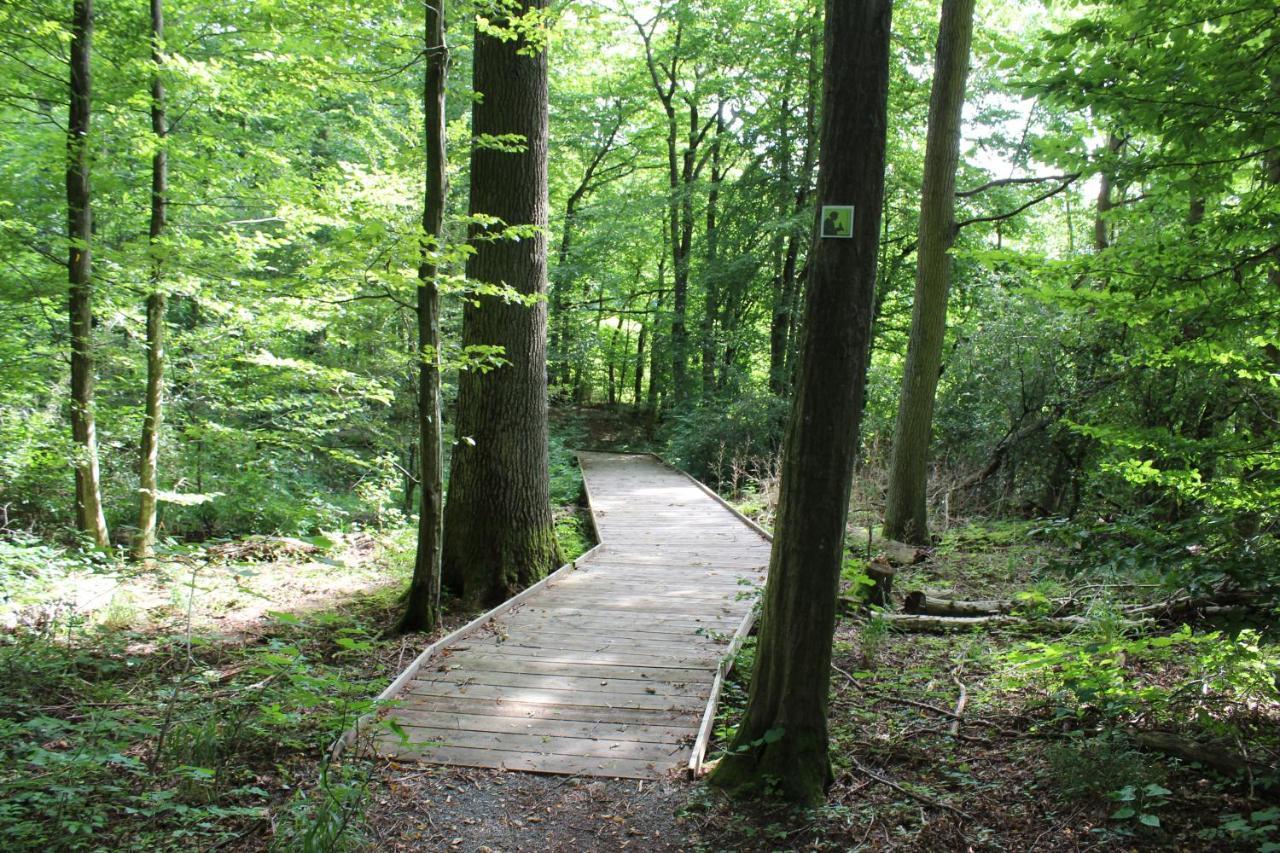 Ferienwohnung Forellenhof Oberschwarzach Exteriör bild