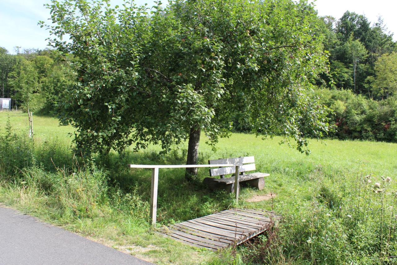 Ferienwohnung Forellenhof Oberschwarzach Exteriör bild